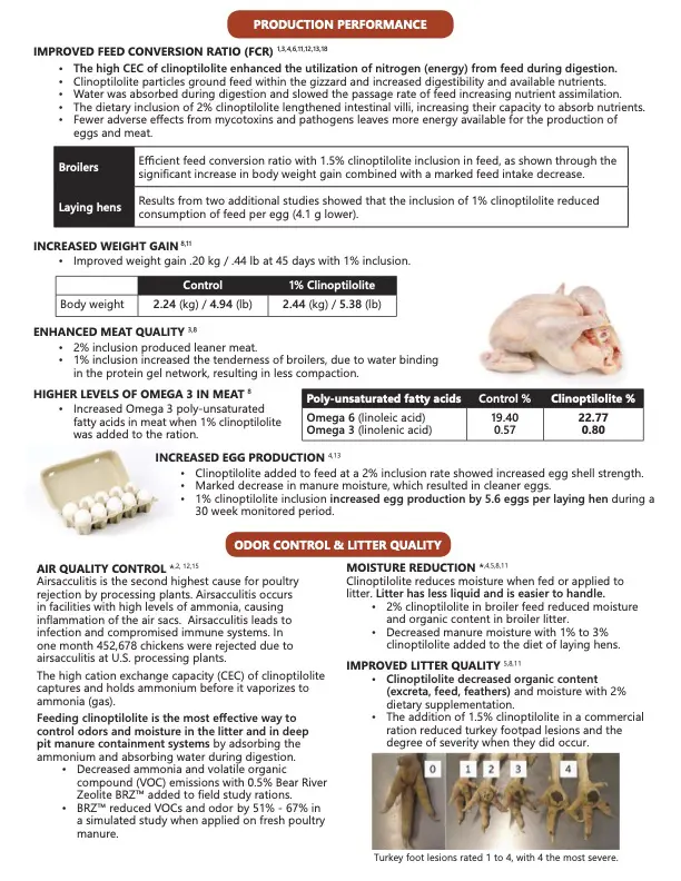 Stoltzfusmineralsupply, Bear River Zeolite, Minerals