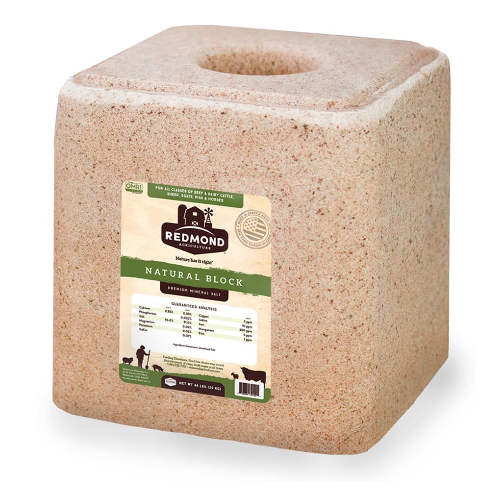 Redmond Minerals Natural Block Sea Minerals