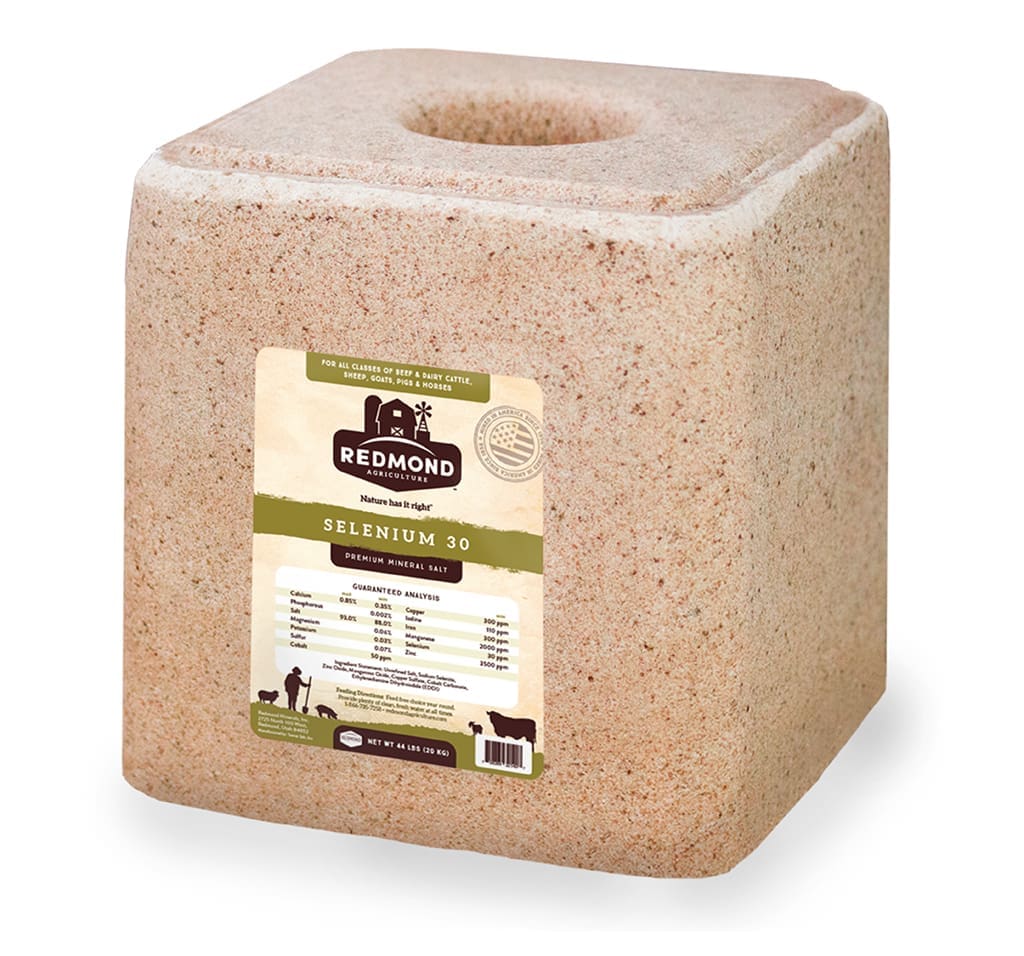 Redmond Minerals Natural Block with Selenium Sea Minerals