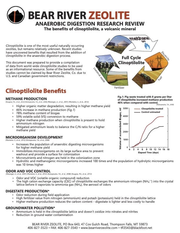 Stoltzfusmineralsupply, Bear River Zeolite, Minerals