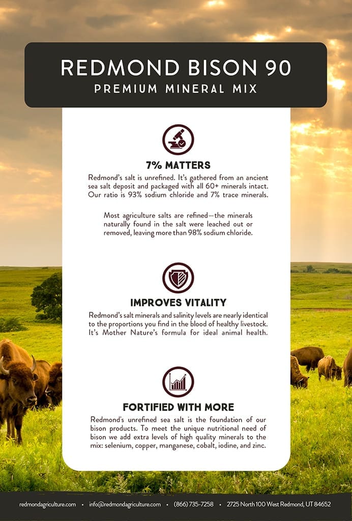 Redmond Minerals Bison 90 Mineral